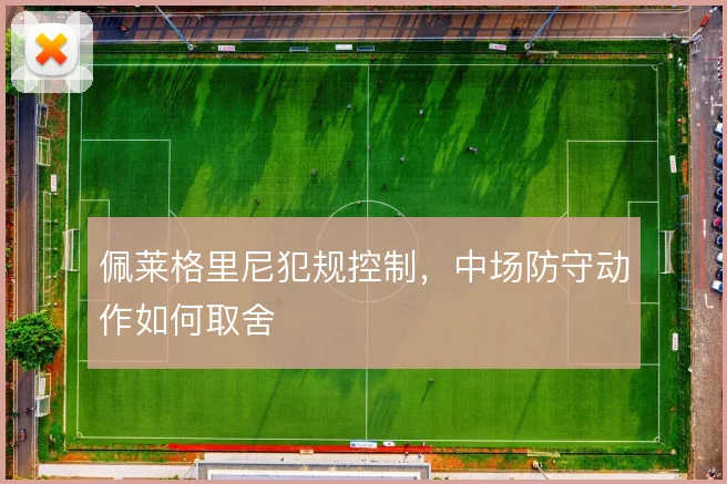 佩莱格里尼犯规控制,中场防守动作如何取舍
