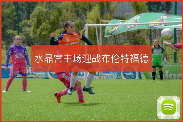 水晶宫主场迎战布伦特福德