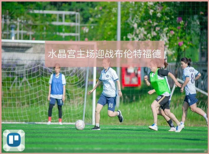 水晶宫主场迎战布伦特福德