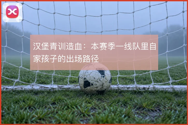 汉堡青训造血:本赛季一线队里自家孩子的出场路径